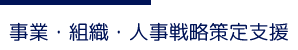 事業・組織・人事戦略策定支援